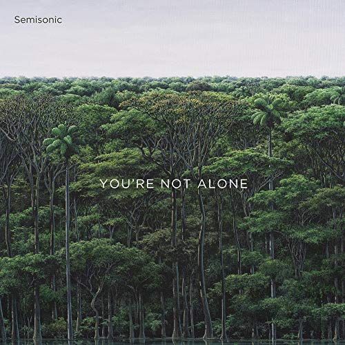 You're Not Alone cover art