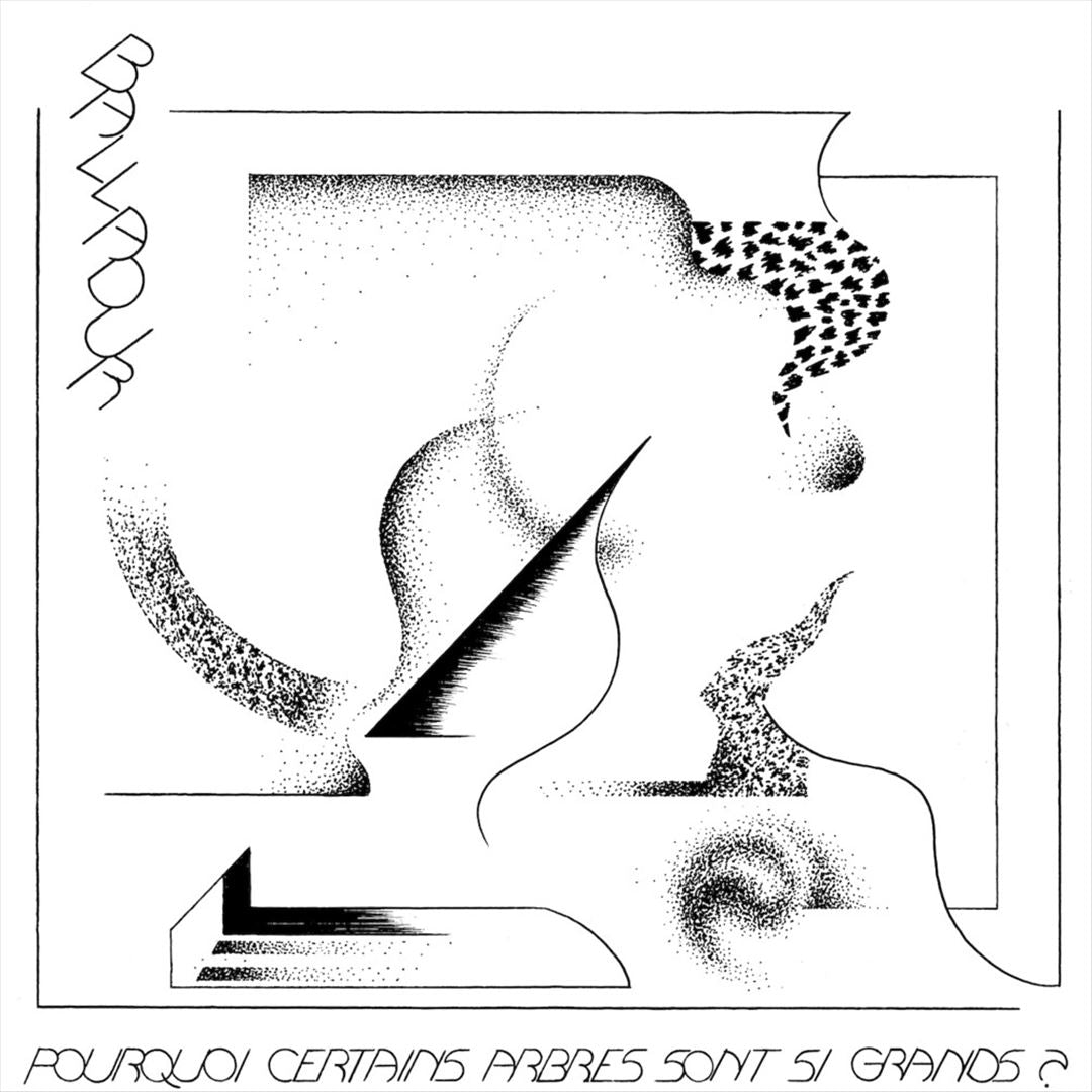 Pourquoi Certains Arbres Sont Si Grands cover art