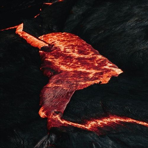 These Serpents cover art