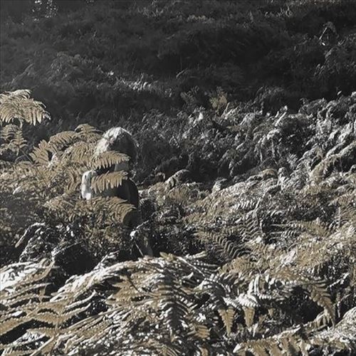 Prisoners of Love & Hate cover art