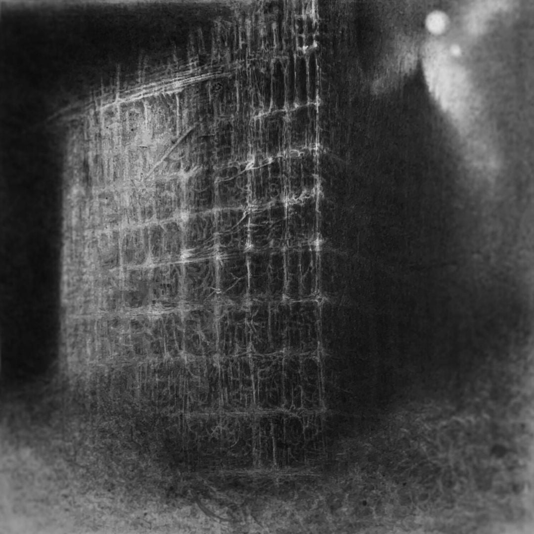 Resilience and Despair cover art