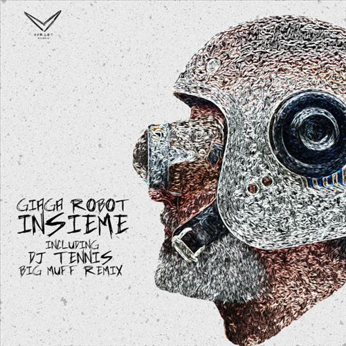 Insieme cover art