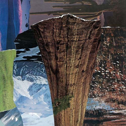 Head Boggle cover art