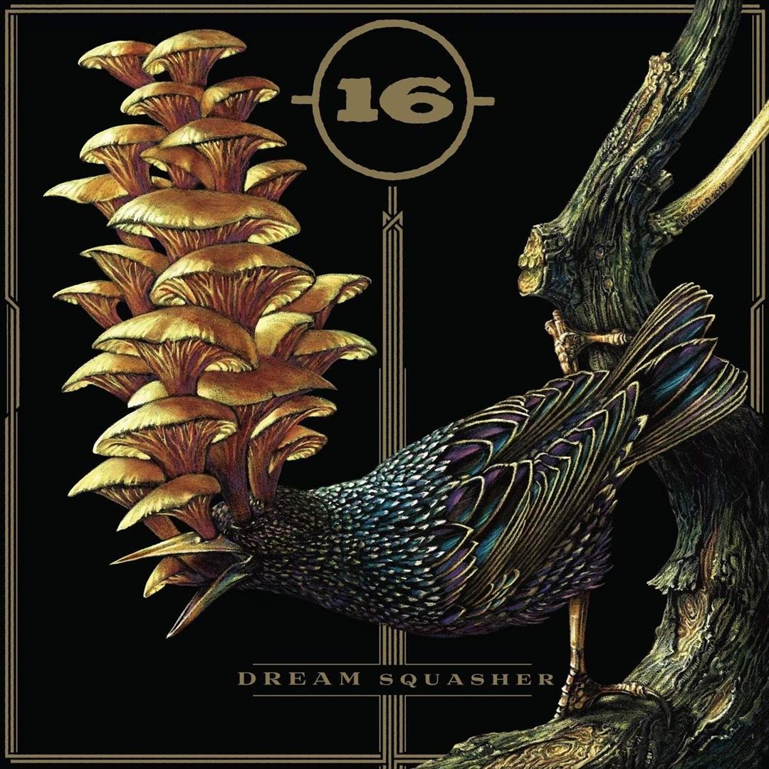 Dream Squasher cover art
