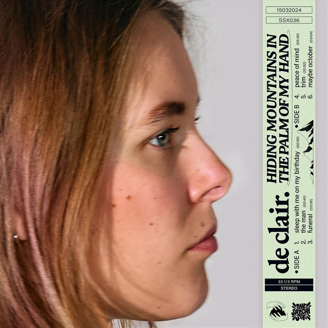 Hiding Mountains in the Palm of My Hand cover art