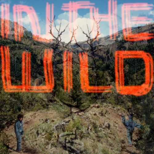 In the Wild cover art