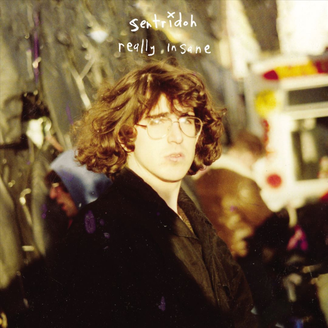 Really Insane : A Lou Barlow C cover art