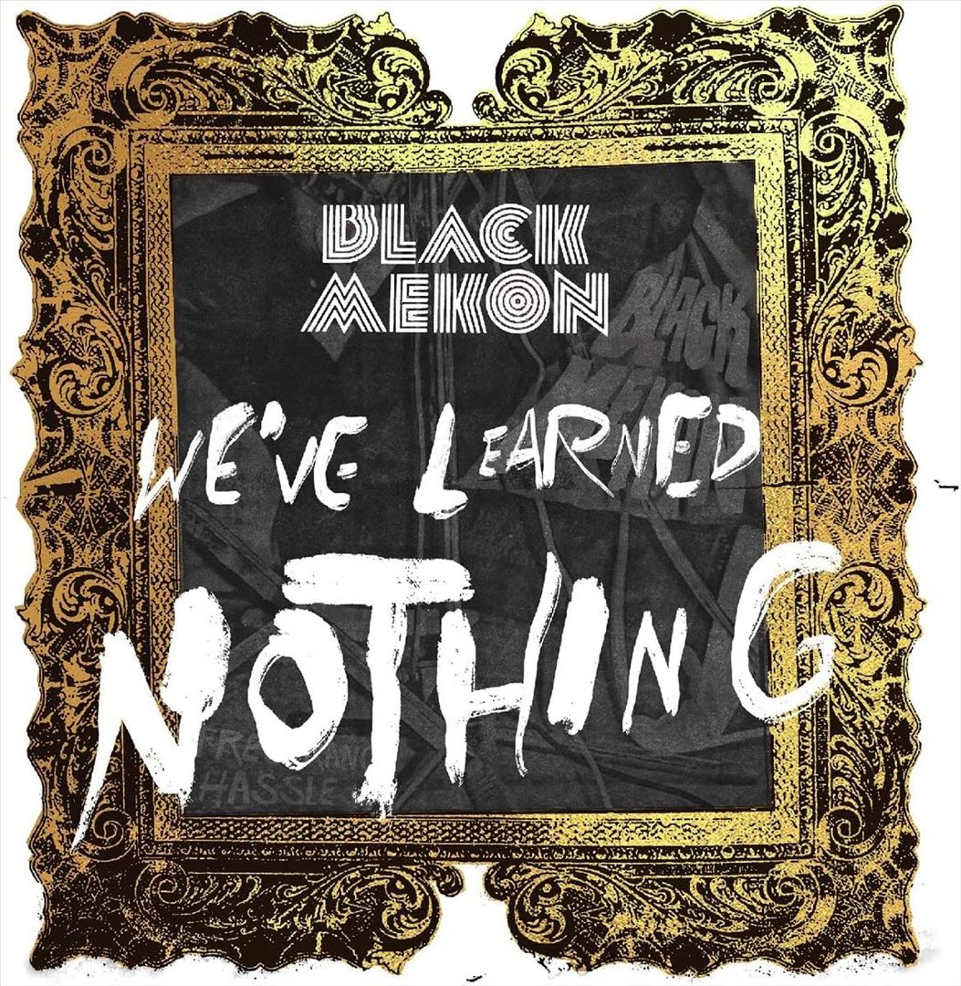 We've Learned Nothing cover art