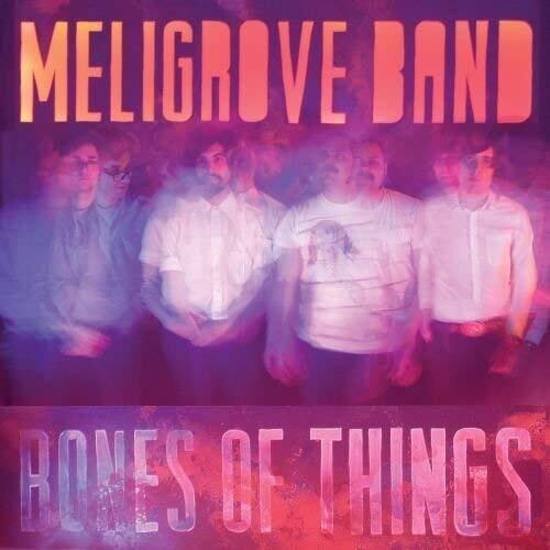 Bones of Things cover art