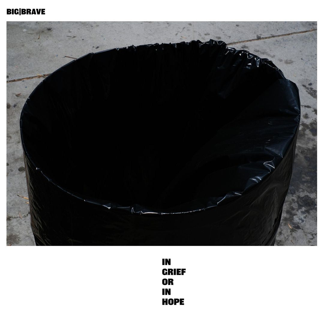 in grief or in hope cover art