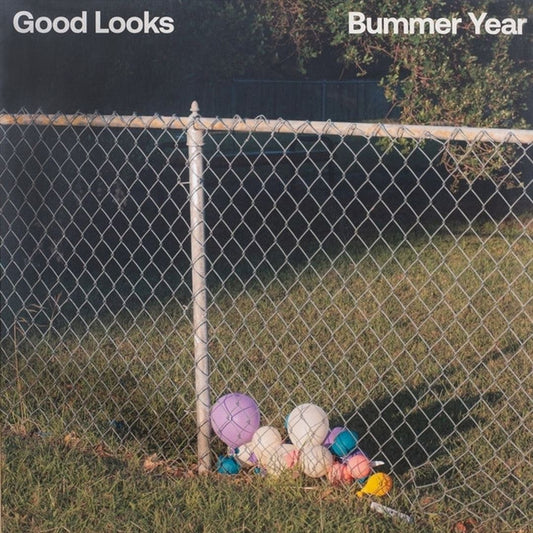 Bummer Year [White] cover art
