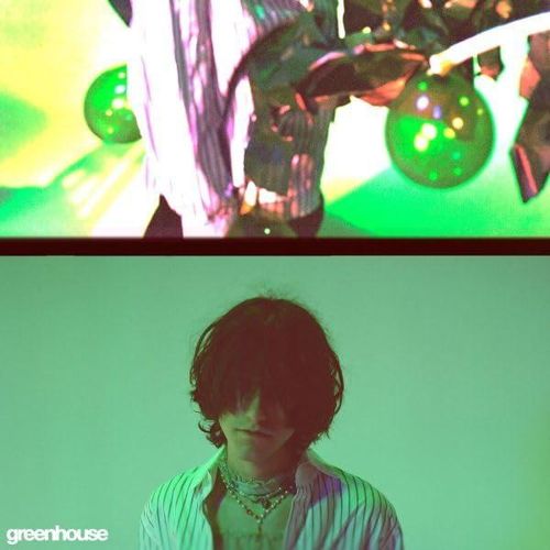 Greenhouse cover art