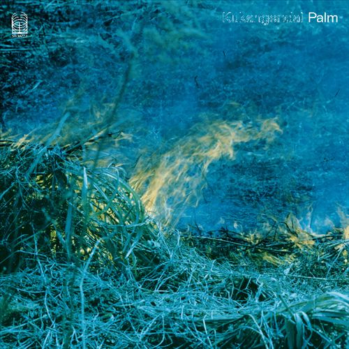 Palm cover art