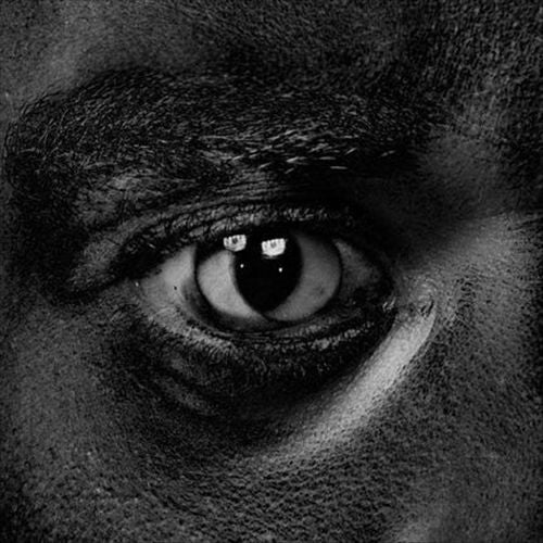 Evolve or Be Extinct cover art