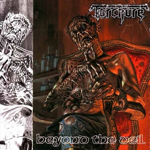 Beyond the Veil cover art