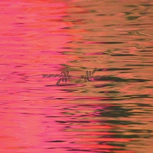Dead Reflection cover art