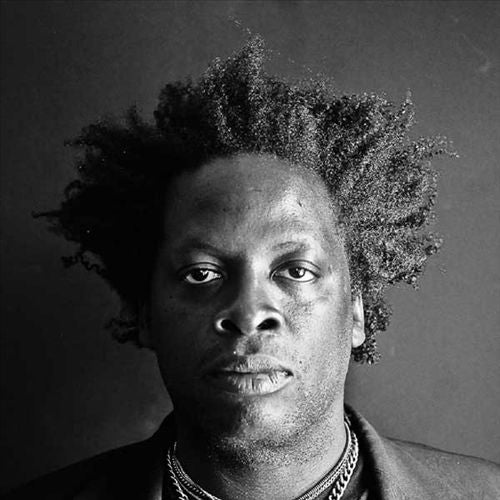 Blue Fairy Mermaid Princess cover art