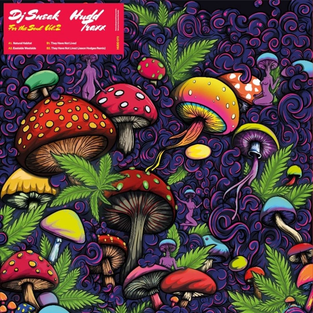 For the Soul, Vol. 2 cover art