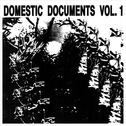 Domestic Documents, Vol. 1: Compiled by Butter Sessions and Noise In My Head cover art