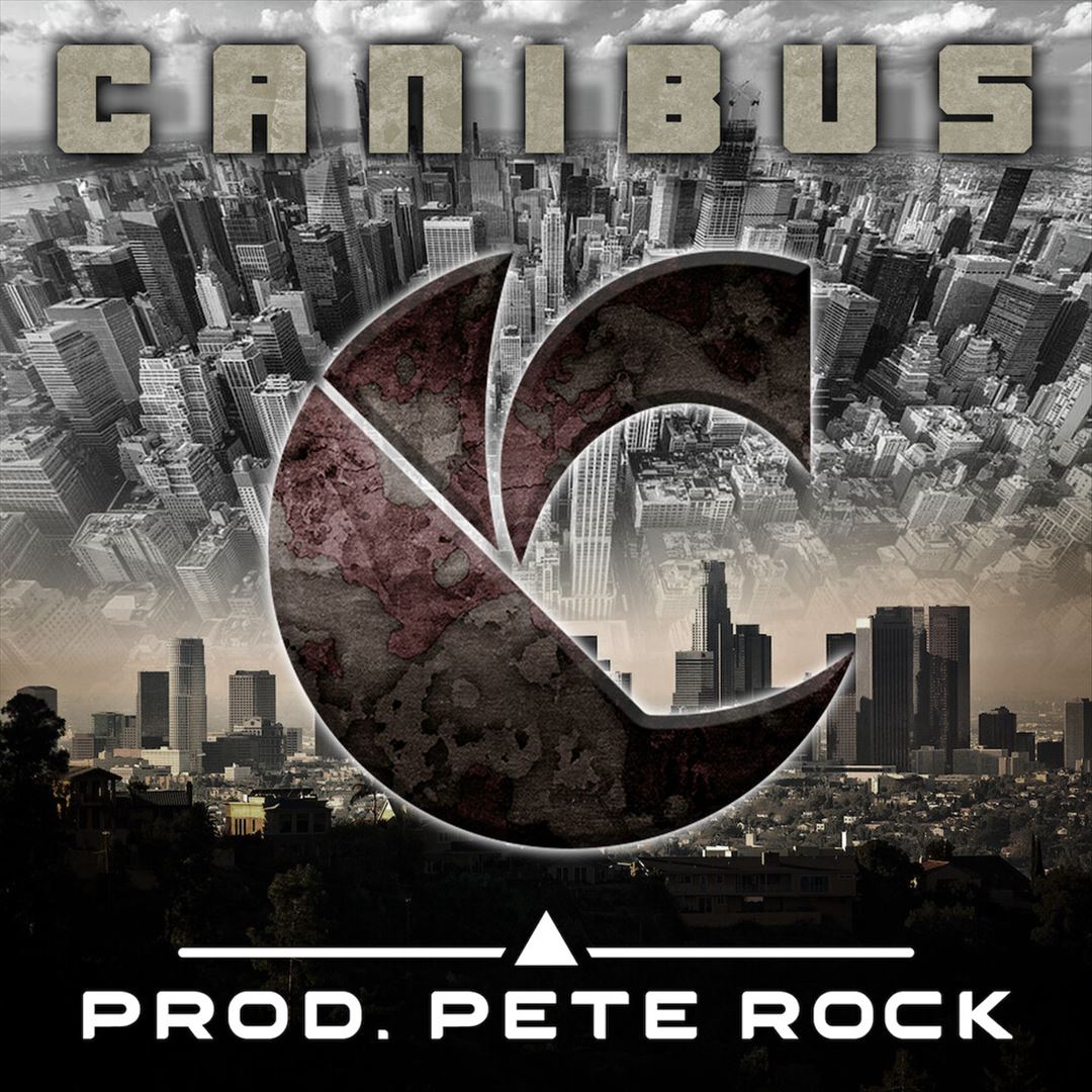 C cover art