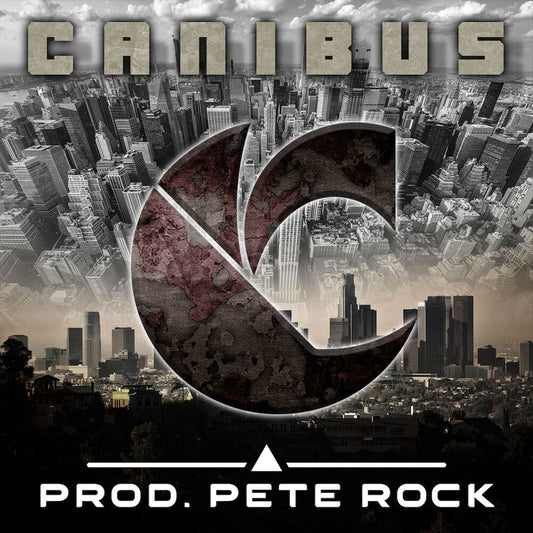 C cover art