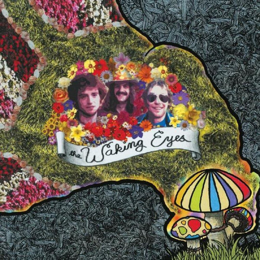 Combing the Clouds cover art