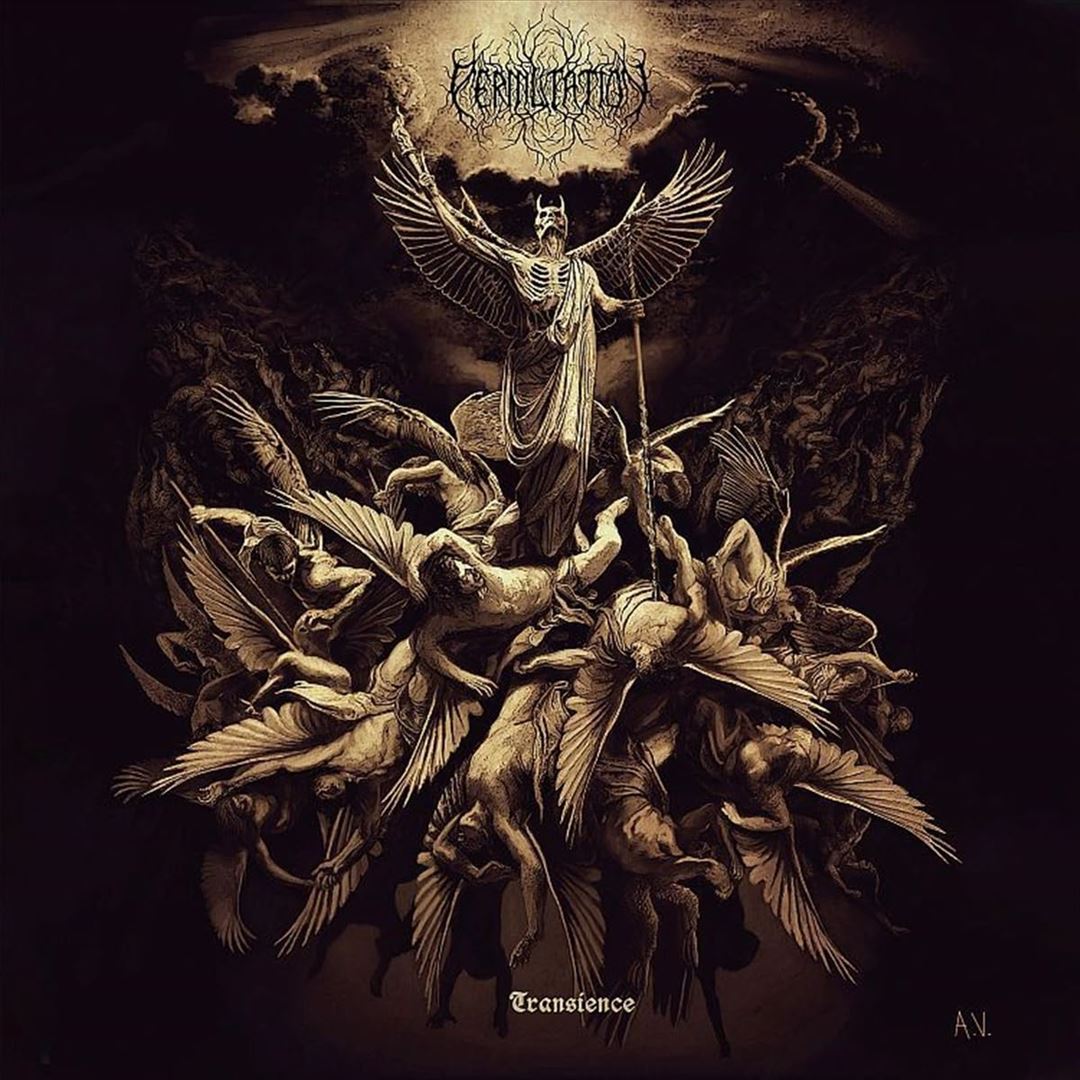 Transience cover art