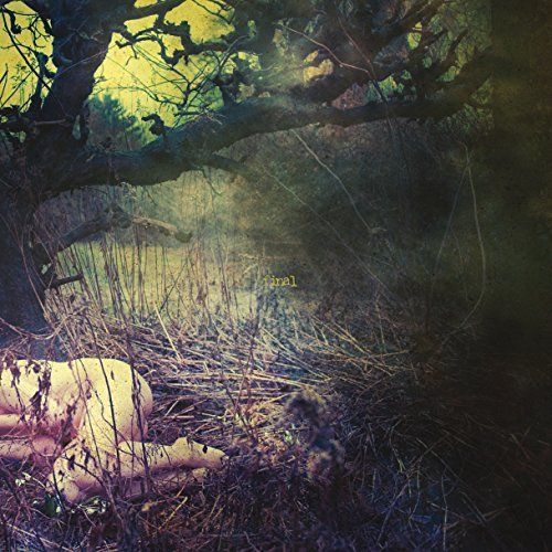 Apple Never Falls Far From The Tree cover art