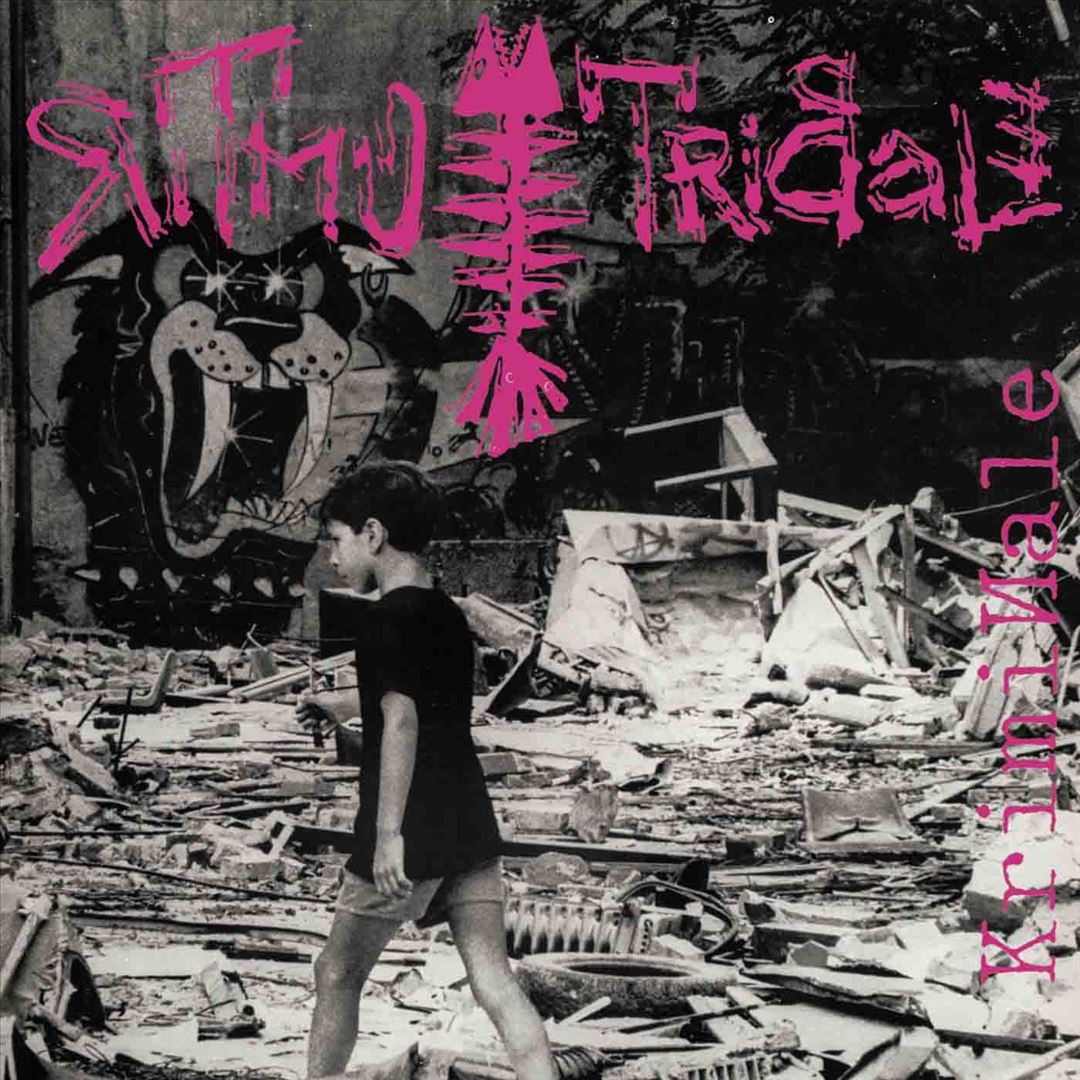 Kriminale cover art