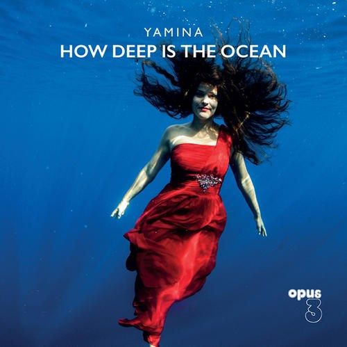 How Deep Is the Ocean [LP] cover art