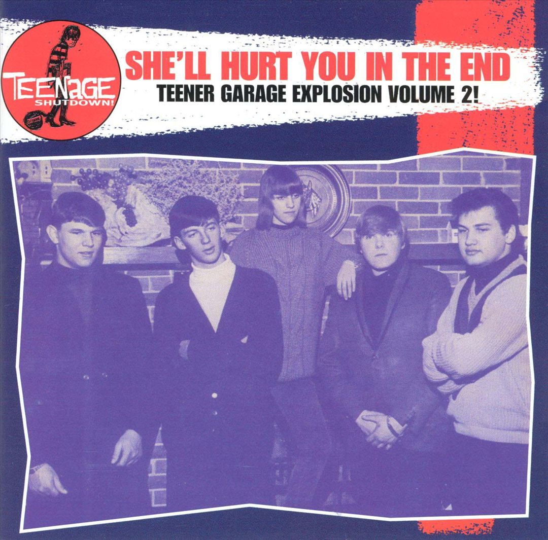 Teenage Shutdown: She'll Hurt You in the End cover art