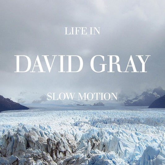 Life in Slow Motion cover art
