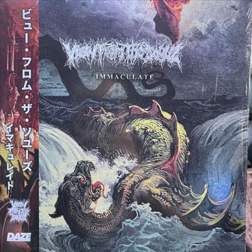 Immaculate cover art