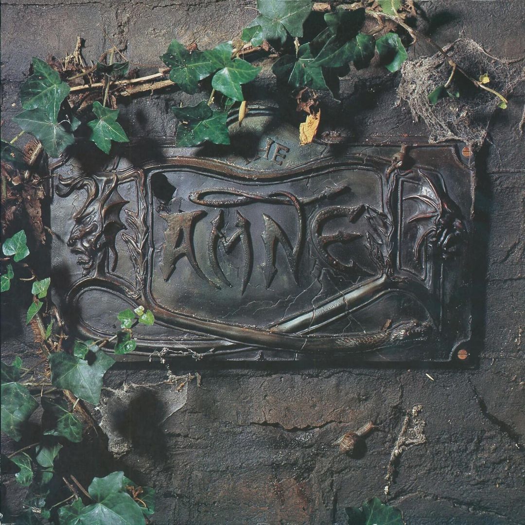 Black Album cover art