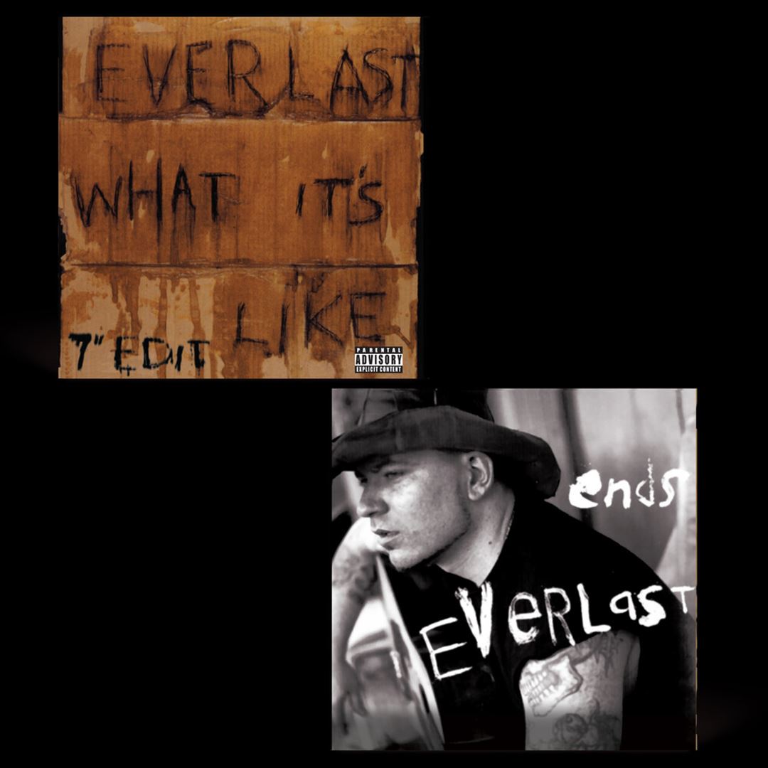 What It's Like/Ends cover art