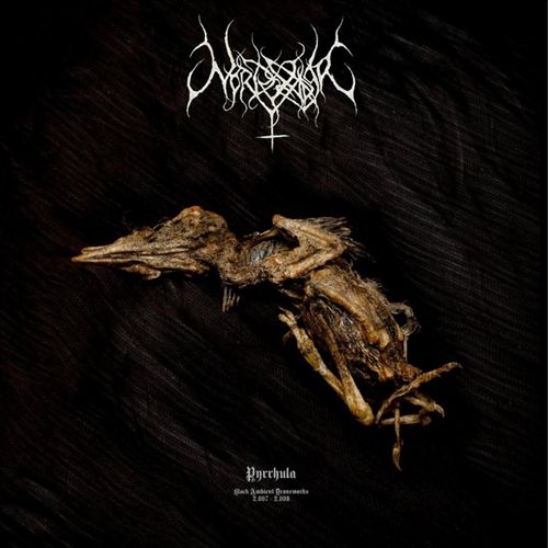 Pyrrhula cover art