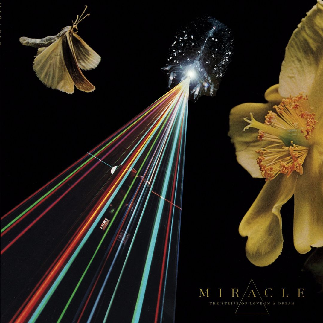 Strife of Love in a Dream cover art