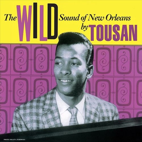 The Wild Sound of New Orleans [LP] cover art