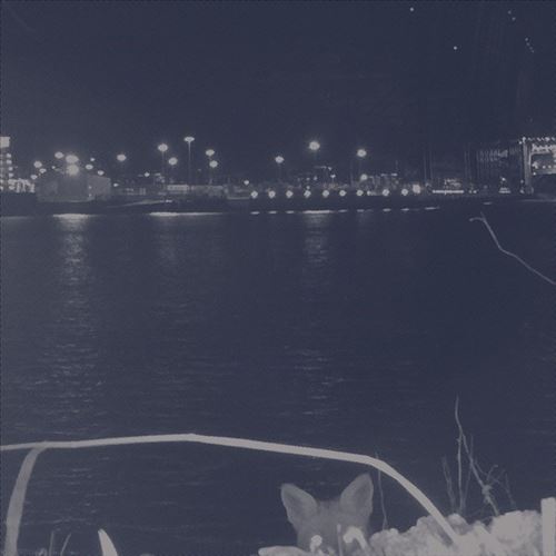 Fuchs cover art