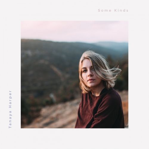 Slow Motion Breakup/Some Kinds cover art