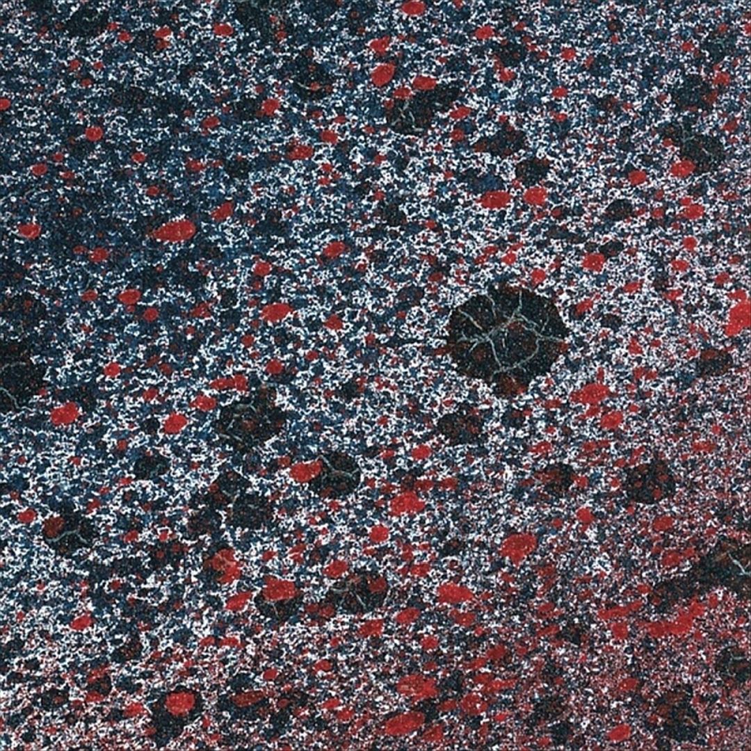 Superior State cover art