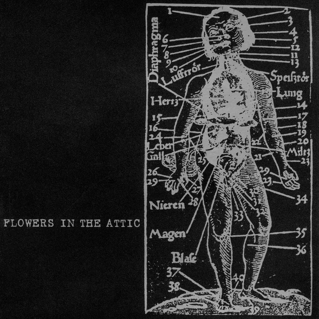 Human cover art