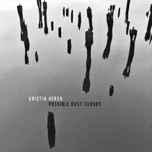Possible Dust Clouds cover art