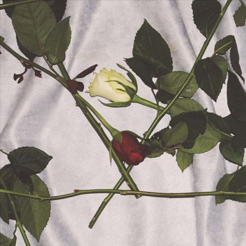 Chain of Flowers cover art