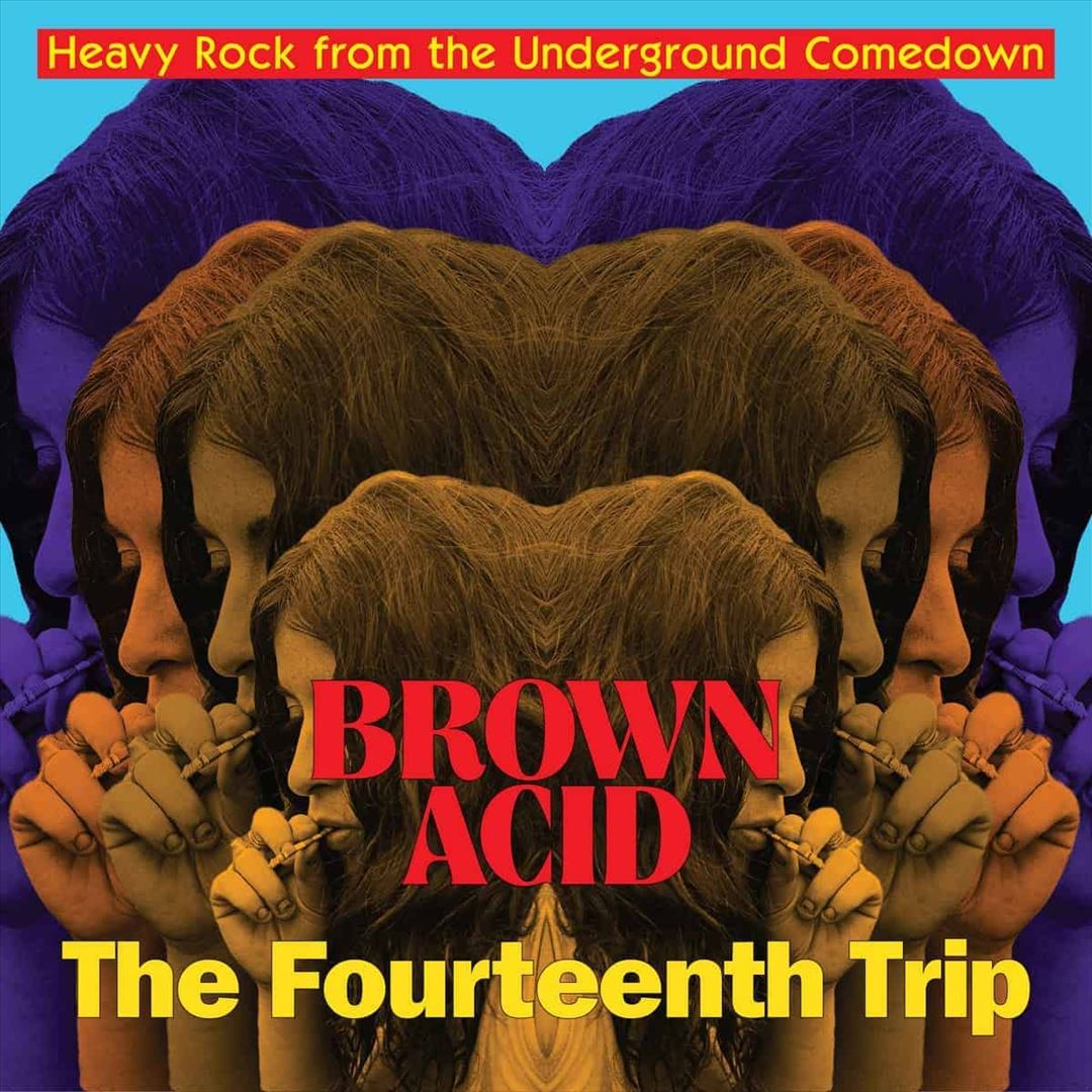 Brown Acid: Fourteenth Trip cover art