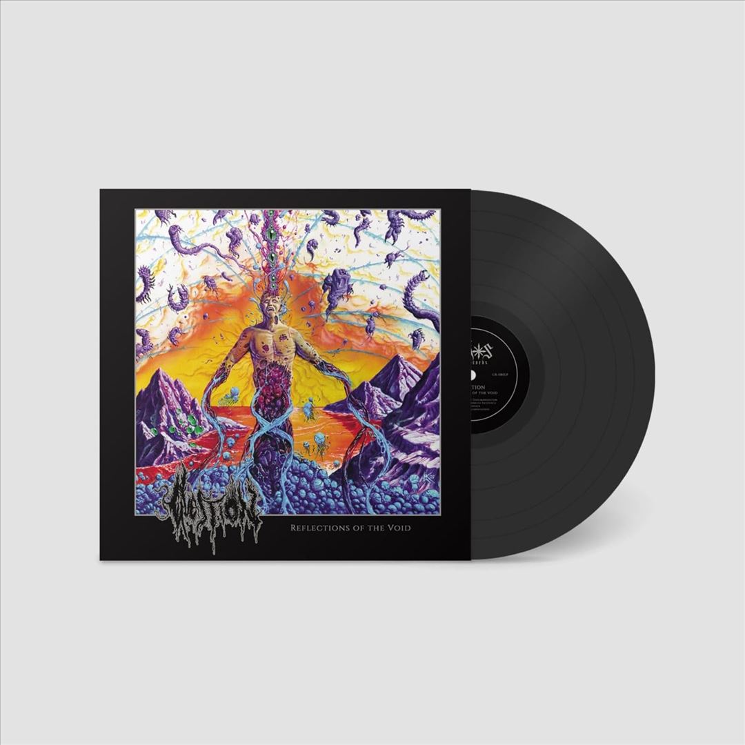 Reflections of the Void cover art