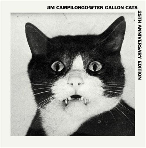 Jim Campilongo & the 10 Gallon Cats cover art