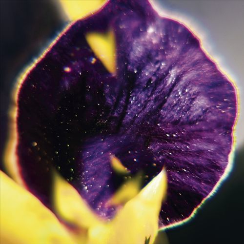 From Patterns to Details cover art