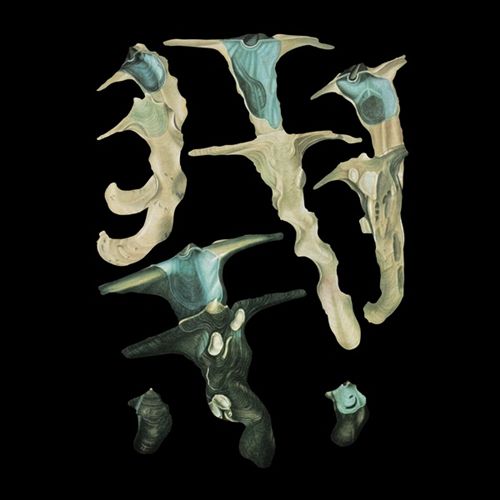 Jellyfish Reproduce Black Magic [Plastic Head Exclusive Colored Vinyl] cover art