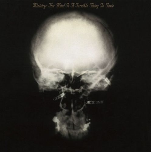 Mind Is a Terrible Thing to Taste cover art